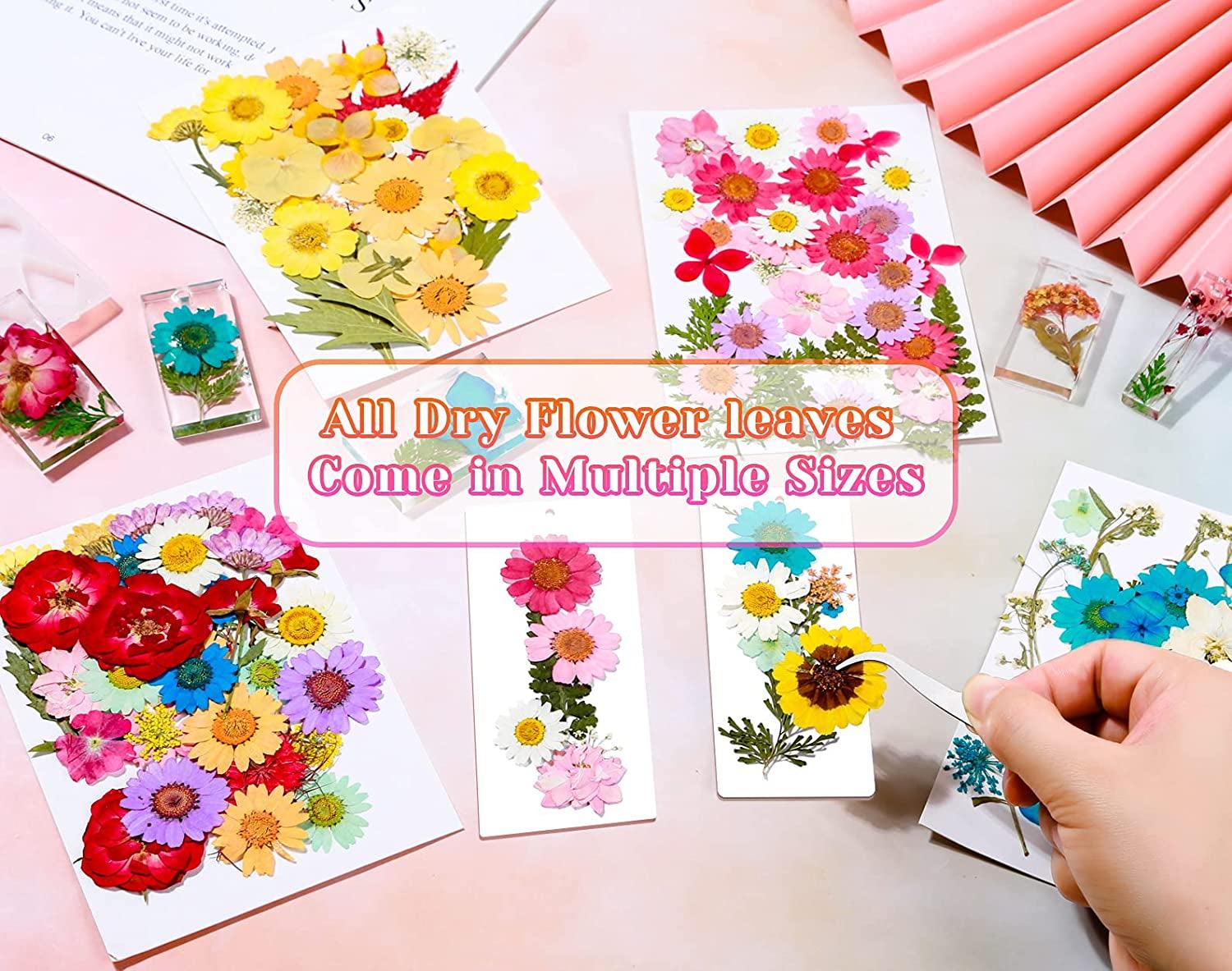 Colorful Natural Dried Flowers for Epoxy Resin Handmade Crafts DIY