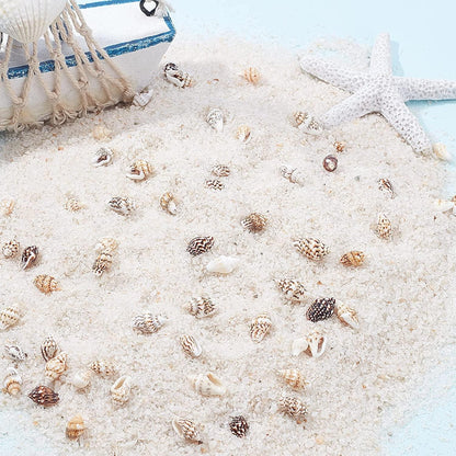 1400-1500Pcs Sea Shell Beads 7-12Mm Tiny Crushed Shells Miniature Shells NO Hole Seashells Ocean Spiral Seashells for Resin Candle Home Party Wedding Fish Tank Vase Filler - WoodArtSupply