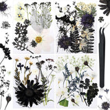 Pressed Flowers Resin Flowers for Resin Mold, Real Daisy Dried Flower Leaves Natural with Tweezers for Scrapbooking DIY Candle Accessories Jewelry WoodArtSupply