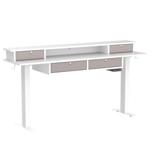 FEZIBO Sturdy Height Adjustable Electric Standing Desk with Drawers, 55 x 24 Inch Stand Up Table with Large Storage Shelf, Sit Stand Desk, White Top FEZIBO