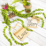 Unfinished MDF Wood Blocks for Crafts, 1 in Thick Wooden Square Blocks (4X4 In, 4 Pack) WoodArtSupply