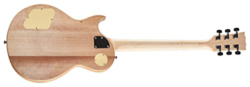 Single Cut Electric Guitar Kit SC Generic