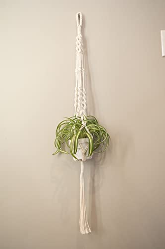UHAPEER Macrame Kits for Adults Beginners, DIY Macrame Plant Hanger Kit and  Macrame Supplies, with 3 mm Macrame Cord Cotton, Macrame Meads, Wooden