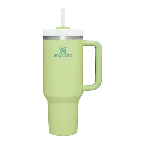 Stanley Quencher H2.0 FlowState Stainless Steel Vacuum Insulated Tumbler with Lid and Straw for Water, Iced Tea or Coffee, Smoothie and More, Citron, - WoodArtSupply