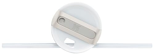 Stanley Quencher H2.0 Soft Matte Collection, Stainless Steel Vacuum Insulated Tumbler with Lid and Straw for Iced and Cold Beverages, Dune, 40 oz STANLEY