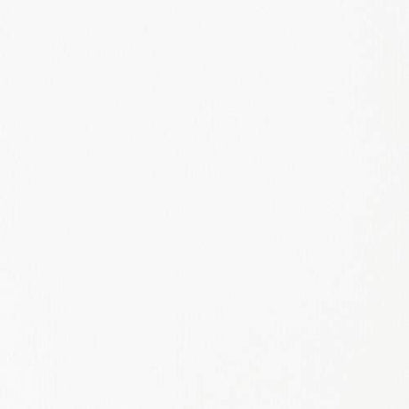 Liquitex BASICS Acrylic Paint, 250ml Tube, Titanium White, 8.45 Fl Oz (Pack of 1) Liquitex