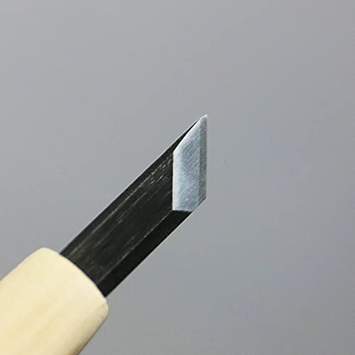 KAKURI Japanese Wood Carving Knife Set (5 Pcs) Made in Japan, Professional Wood Carving Tools for Linoleum Carving, Linocut, Printmaking, AOGAMI Blue KAKURI