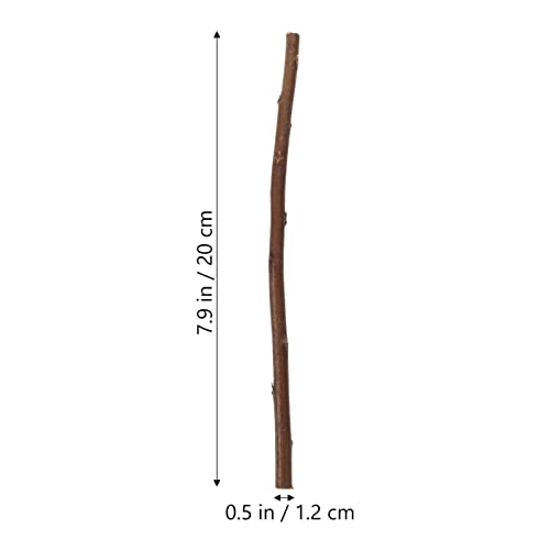 SEWACC 50pcs Branch Material Natural Wood Log Sticks Wooden Dowel Rod Cane Accessories Birch Wood Sticks Dry Wooden Sticks Vase Wood Crafts DIY