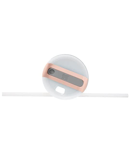 STANLEY Quencher H2.0 FlowState Tumbler 40oz (Pink Dusk) STANLEY