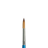 Winsor & Newton Brush, Wood, Transparent, No 9 -. 5.6 mm, Round - Brush, Short Handle Winsor & Newton