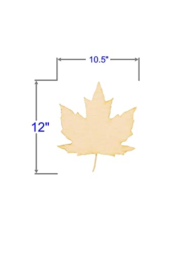 Unfinished Maple Leaf Wood Cut Out Available in a Variety of Sizes and Thicknesses (1/8” Thickness, Large 10.5" x 12" (Sold Individually)) - WoodArtSupply