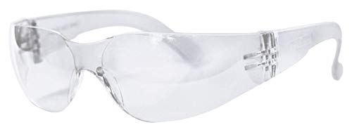 BISON LIFE Safety Glasses, One Size, Clear Protective Polycarbonate Lens, 12 per Box (1 box) BISON LIFE