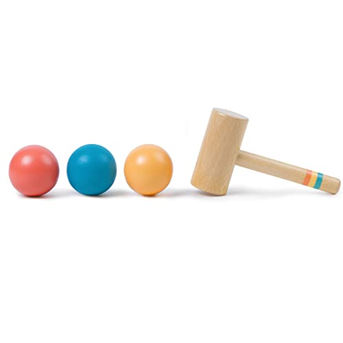 Twefex Montessori Ball Tracker, Award Winning Durable Pound A Ball Drop Toy, Early Developmental Montessori Toys, Wooden Toys for Toddlers 1-3 Year Twefex
