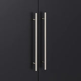 HangUps Upper Storage Cabinet, 24", Black Prepac