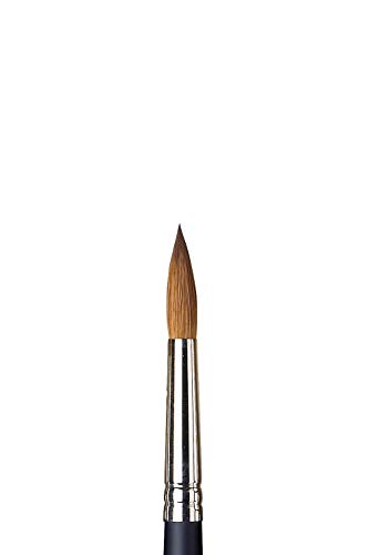 Winsor & Newton Professional Watercolour Sable Brush, Round #10 - WoodArtSupply