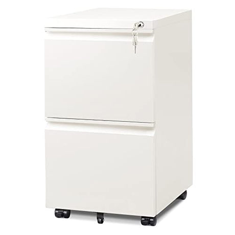 DEVAISE 2-Drawer Mobile File Cabinet with Lock, Commercial Vertical Cabinet, White DEVAISE