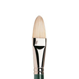 Winsor & Newton WINSOR & NEWTON Winton Brushes 12 filbert Winsor & Newton