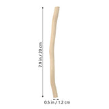 COHEALI 50pcs Branch Material Counting Large Popsicle Sticks Diorama Supplies Craft Sticks The Stick Birch DIY Projects Sticks Log in Crafts Twigs COHEALI