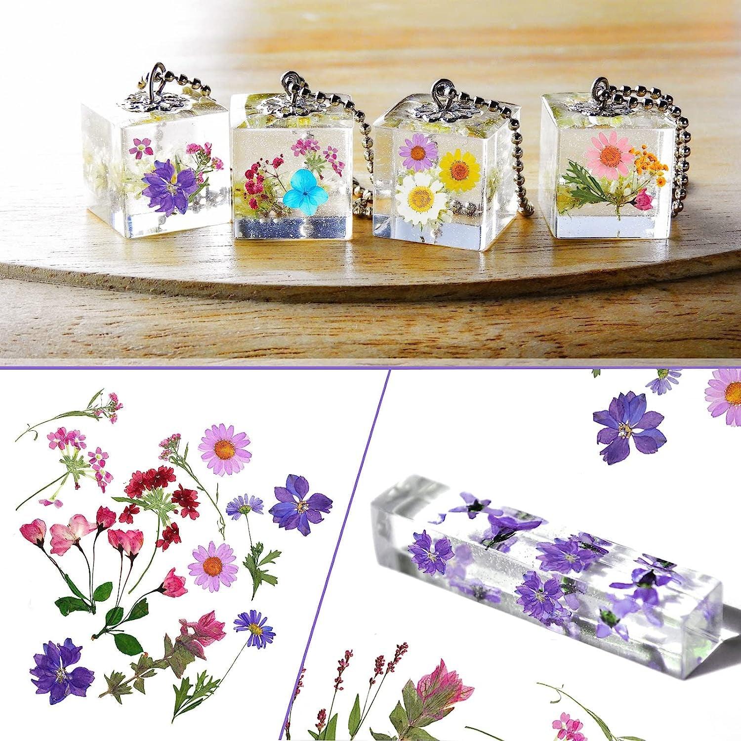 Pressed Flowers Resin Flowers for Resin Mold, Real Daisy Dried Flower Leaves Natural with Tweezers for Scrapbooking DIY Candle Accessories Jewelry Crafts Making (Delicate Style) - WoodArtSupply