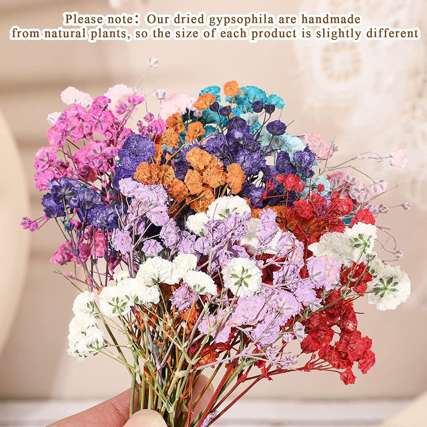 200 Pcs Resin Dried Flowers for Resin Dried Baby'S Breath Flowers Real Natural Pressed Flowers Gypsophila Bouquet Gypsophila Branches for Card Making WoodArtSupply