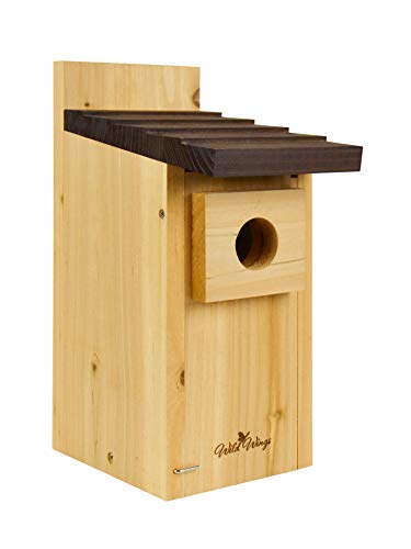 Wild Wings WWCH3 Cedar Blue Bird Box House