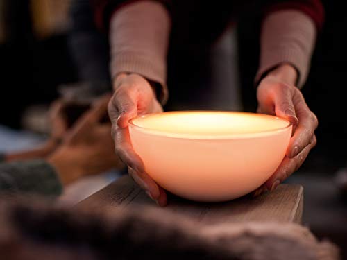 Philips Hue Go White and Color Portable Dimmable LED Smart Light Table Lamp (Requires Hue Hub, Works with Alexa, HomeKit and Google Assistant), White PHILIPS