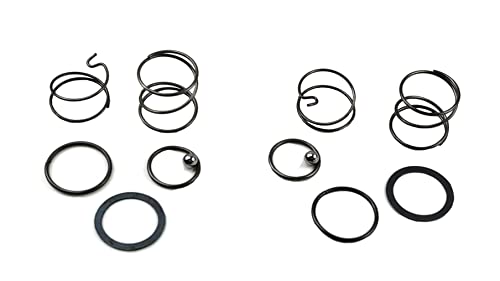Palart N078434 Spring kit for 20 V impact wrench DCF885 DCF886 spring and ball replacement, impact driver spring kit and ball (2 pcs) palart