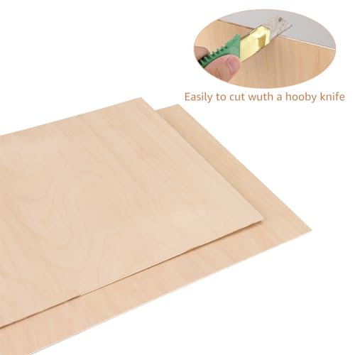 10Pcs 16 x 12 x 1/8 Inch Baltic Birch Plywood Sheets Unfinished Plywood Sheet for Arts and Crafts, Painting, Pyrography, Wood Engraving, Wood