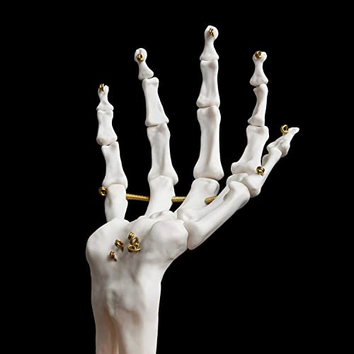 Suck UK Skeleton Hand Ring Holder & Jewelry Stand Earring Organizer & Necklace Holder For Gothic Decor Halloween Decorations & Bedroom Accessories Suck UK