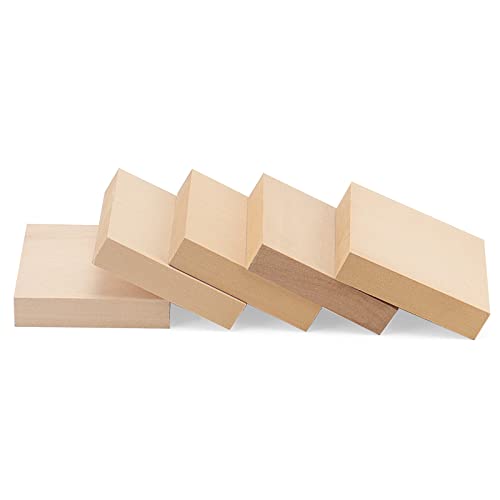 LEXININ 20 PCS 4 x 4 x 1 Inch Square Wood Carving Blocks, Unfinished Basswood Blocks, Blank Natural Wooden Blocks for Crafts, DIY Projects, Carving - WoodArtSupply