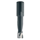 CMT 380.040.11 Solid Carbide Bit for Domino Jointing Machines by Festool DF500, 4mm (5/32-Inch), M6x0.75mm Shank CMT