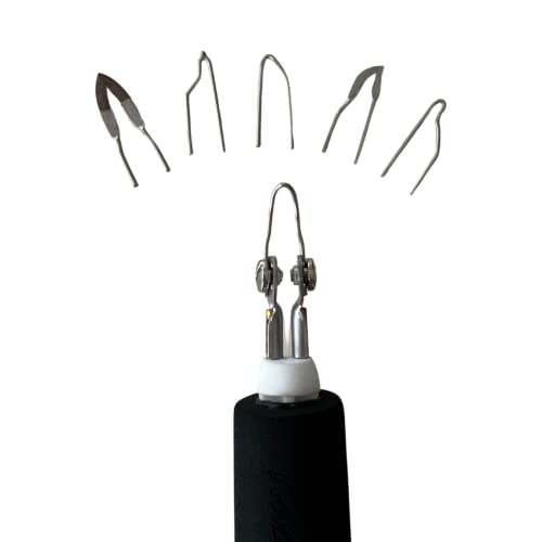 Razertip SE Kit - SE Wood Burning Machine with BPH Interchangeable tip Pen, 6 Tips, How-to Book "Pyro Studio Guide to Burning" - Pyrography kit - Razertip