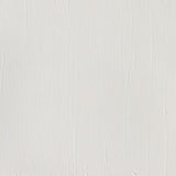 Winsor & Newton Professional Acrylic Paint, 60ml (2-oz) Tube, Titanium White Winsor & Newton