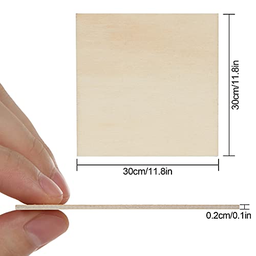 16 Pack 12 x 12 inch Basswood Sheets Thin Wood Panel 2 mm Unfinished Wood Boards Square Plywood Sheets for Painting, DIY Project, Mini House