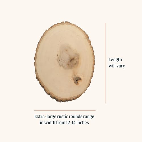 Walnut Hollow Rustic Basswood Round, Extra Large 12-14" Wide with Live Edge Wood (Pack of 6) - for Wood Burning, Home Décor, and Rustic Weddings - WoodArtSupply