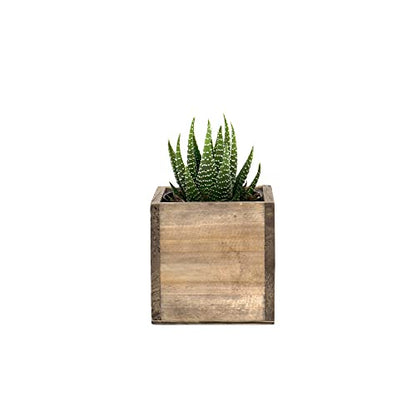 CYS EXCEL Cube Planter Box with Removable Plastic Liner (3"x3"x3")(6 PCS) | Multiple Size Choices Wood Square Planter | Indoor Decorative Window Box