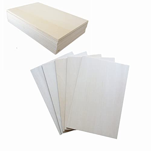 Baisunt 15 Pack Balsa Wood Sheets, Thin Natural Unfinished Wood for Aircraft Ship Boat House Plate Model, Painting, DIY Craft, 150x100x2mm