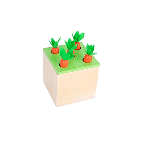 Montessori Box Play Kit, Early Child Development Learning Material for 1-3 Years Old Babies (Play Kit, 4 for 1) Tiger Montessori