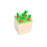 Montessori Box Play Kit, Early Child Development Learning Material for 1-3 Years Old Babies (Play Kit, 4 for 1) Tiger Montessori