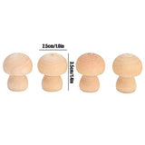 Wooden Mushroom Ornament, Unfinished Mushrooms, 50pcs Wood Mushroom DIY Toy in Clear Box, Plain Unpainted Mini Mushroom for Arts and Crafts Projects AUNMAS
