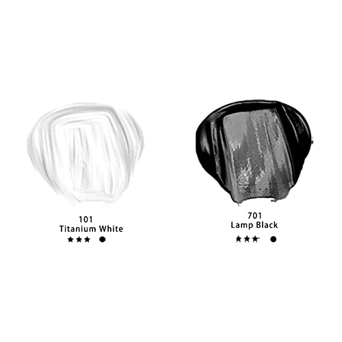 Artecho Professional Acrylic Paint, White and Black (120ml / 4.05oz) Tubes, Art Craft Paints for Canvas, Rock, Stone, Wood, Fabric, Art Supplies for Artecho