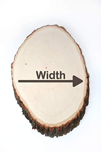 Wilson Basswood Round/Oval Plaque - Bulk Quantity Value Box Wood Slices, Medium 7-9" D (Pack of 10) Wilson