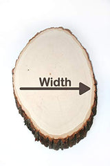 Wilson Basswood Round/Oval Plaque - Bulk Quantity Value Box Wood Slices, Medium 7-9" D (Pack of 10) Wilson