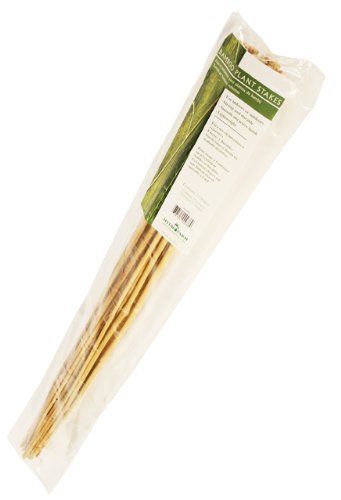 Hydrofarm HGBB6 6' Natural, pack of 25 Bamboo Stake, Tan Hydrofarm