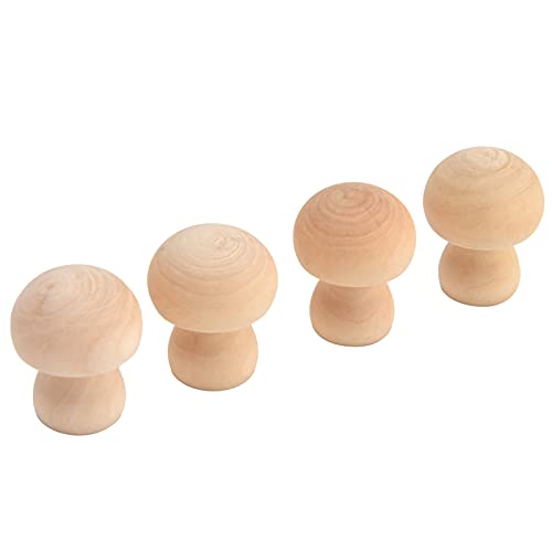 Wooden Mushroom Ornament, Unfinished Mushrooms, 50pcs Wood Mushroom DIY Toy in Clear Box, Plain Unpainted Mini Mushroom for Arts and Crafts Projects AUNMAS