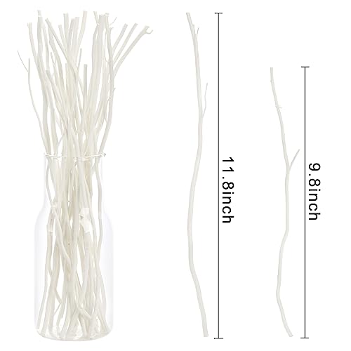 SOUJOY 30 PCS Willow Branches, Decorative Dried Curly Branches, 10'', 12'' Natural Wood Diffuser Stick for Vase, Craft DIY, Home, Office - WoodArtSupply