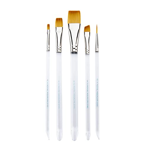 Aqualon Royal & Langnickel Variety Artist Brush Set, 5-Piece - WoodArtSupply