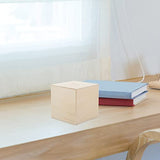 DIY Money Box Wooden Pirate Wooden Box 3Pcs Unfinished Wood Money Box Wood Change Box for Kids Painting Art and Crafts Supplies Wooden Puzzle Box Toyvian