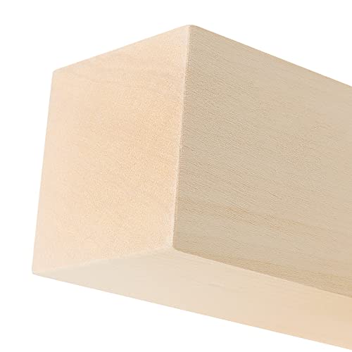 Basswood Carving Blocks Set for Wood Carving Blocks Whittling Wood Blo –  WoodArtSupply