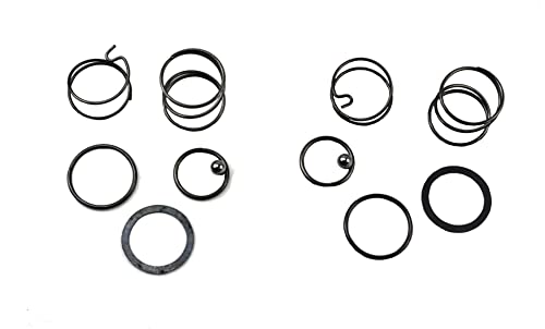 Palart N078434 Spring kit for 20 V impact wrench DCF885 DCF886 spring and ball replacement, impact driver spring kit and ball (2 pcs) palart